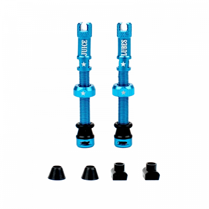 Juice Lubes Tubeless Valves (Teal)