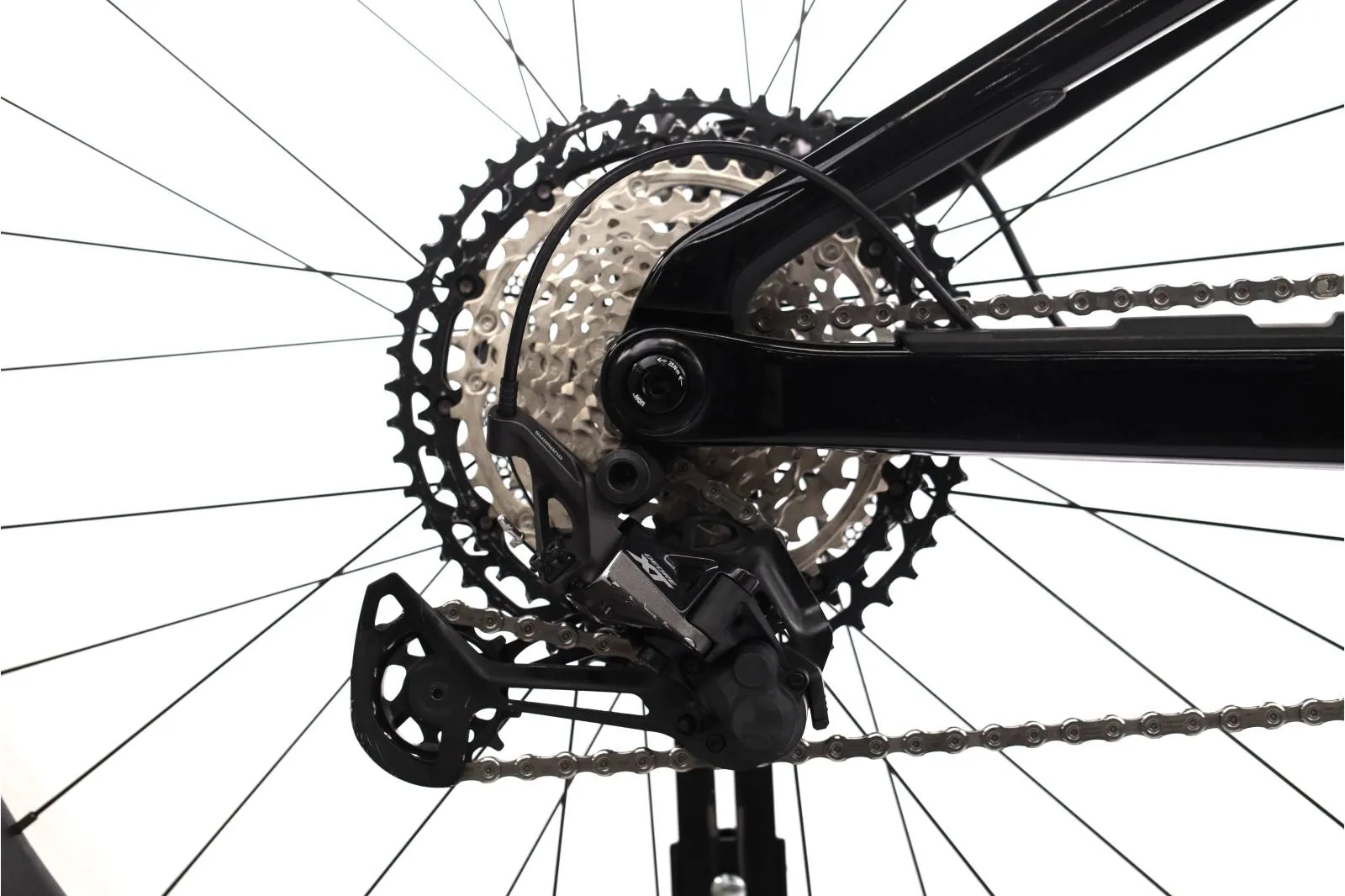 Orbea Rallon 2022
